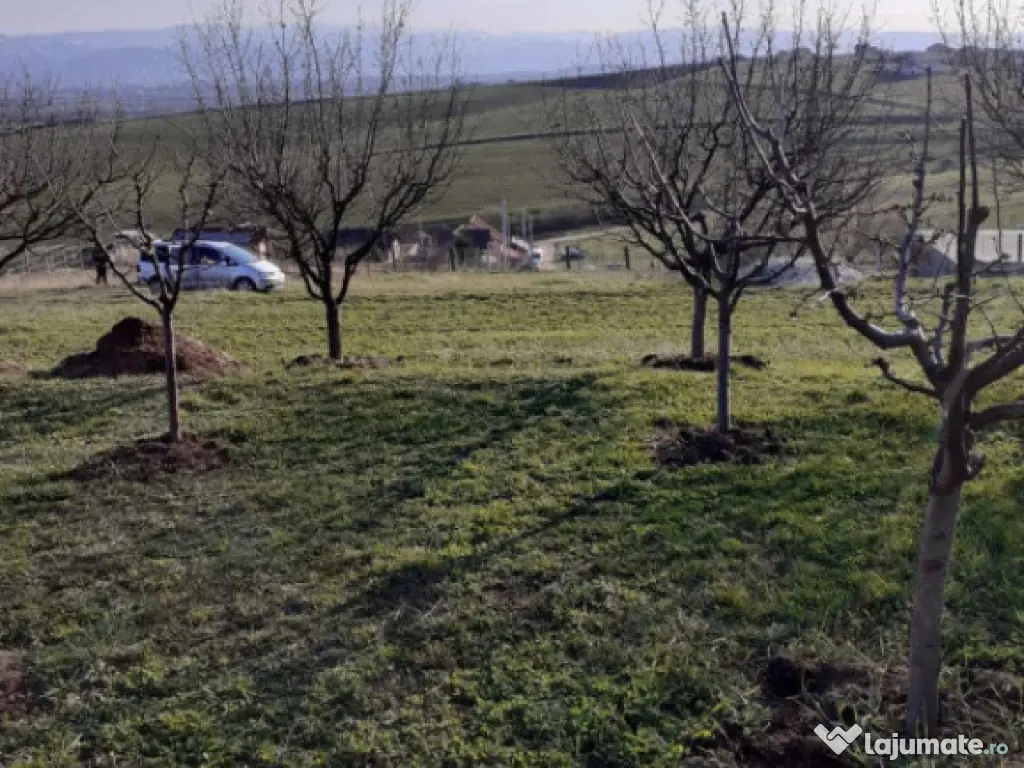 Teren intravilan Sura Mare 550mp 