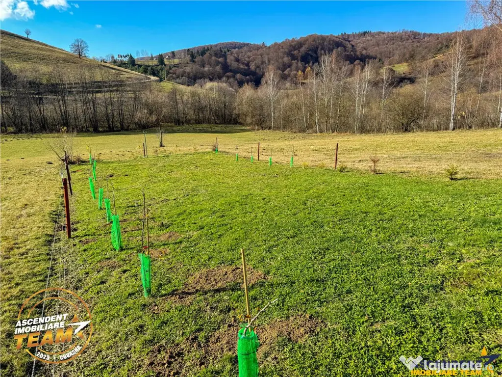 FILM! Teren extravilan 682 mp rulota, Floroaia, Intorsura