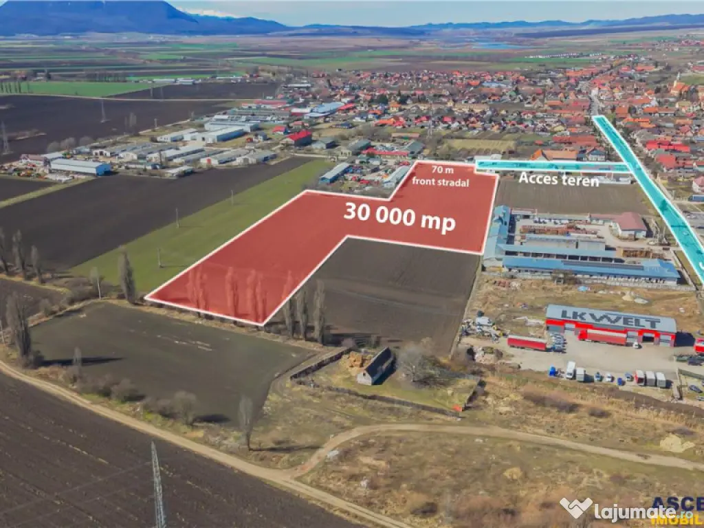 FILM! 30.000mp teren intravilan, Central, Halchiu, Brasov