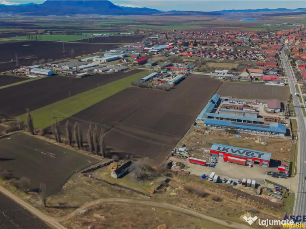 FILM! 30.000mp teren intravilan, Central, Halchiu, Brasov 