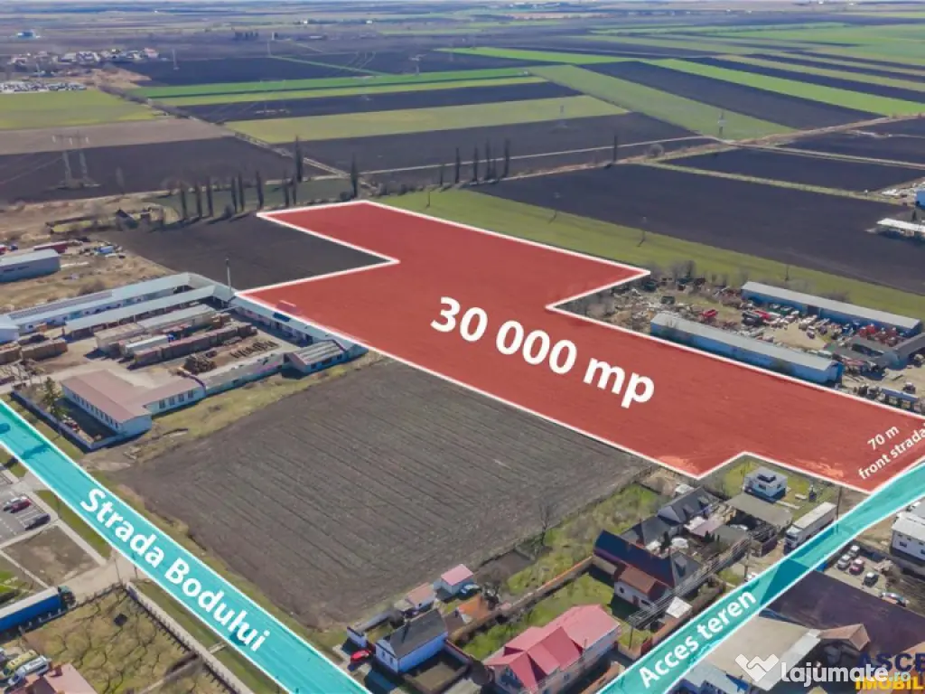 FILM! 30.000mp teren intravilan, Central, Halchiu, Brasov 