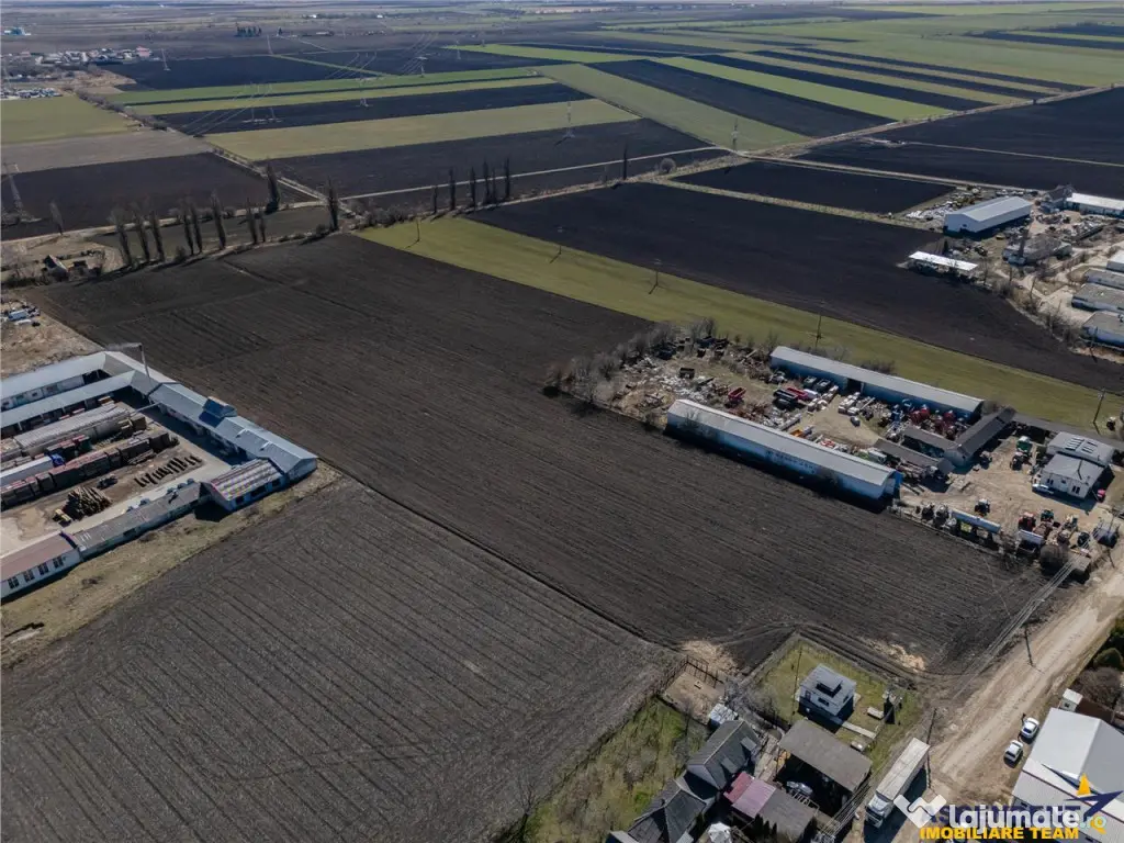 FILM! 30.000mp teren intravilan, Central, Halchiu, Brasov 