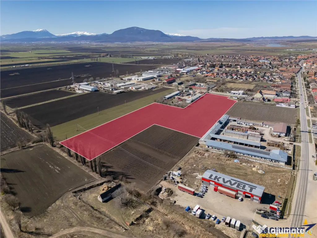 FILM! 30.000mp teren intravilan, Central, Halchiu, Brasov 