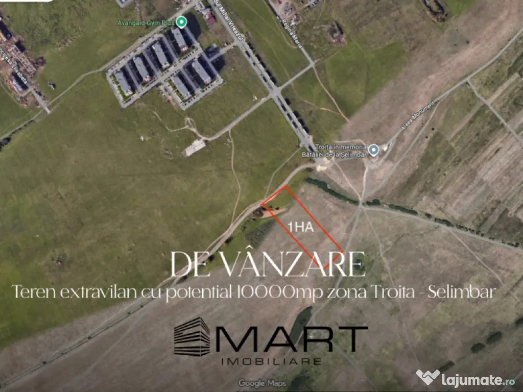 Teren extravilan 10000mp zona Mihai Viteazul - Avangarden 