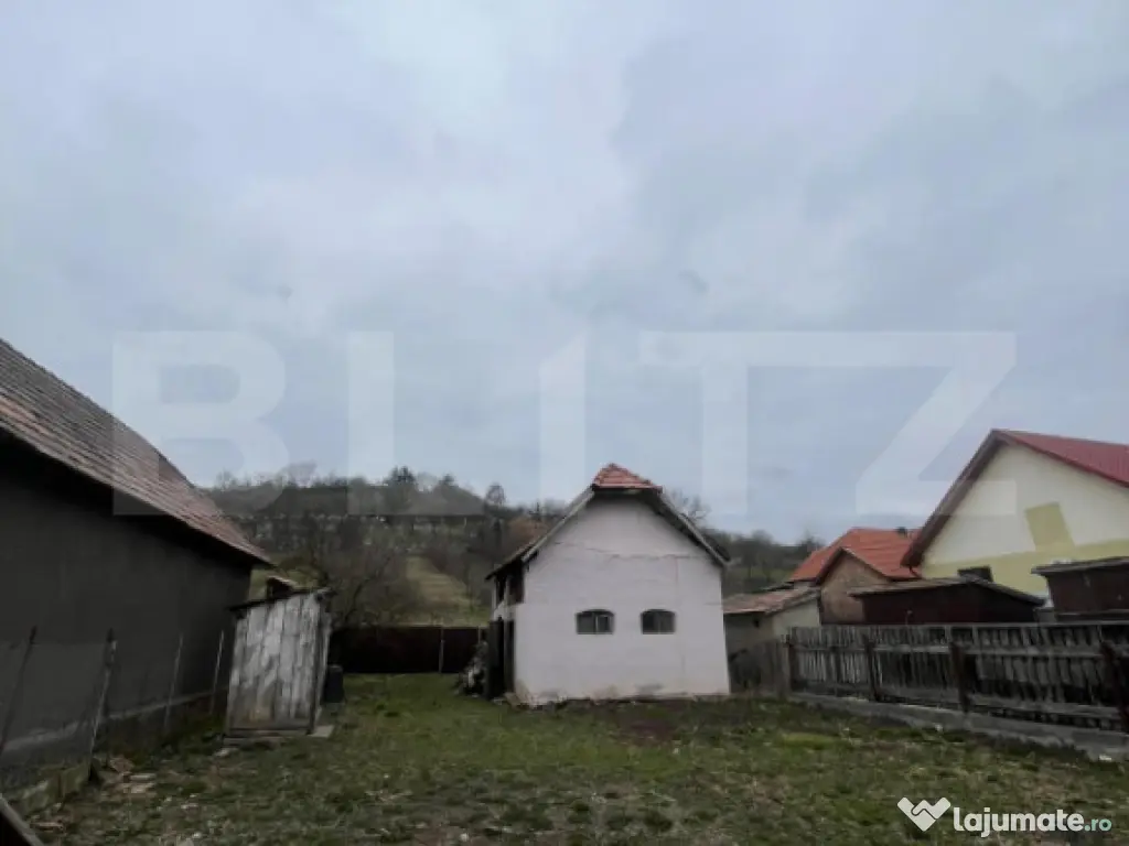 Casă de vânzare, Curteni 