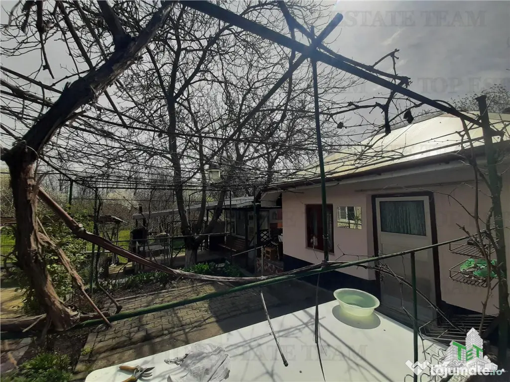 Teren 1274 mp cu livada si casa veche Primarie Bragadiru