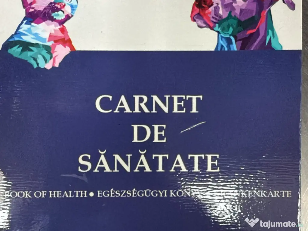 Pui Bichon Maltez – Mascul, 2 luni, microcipat și vaccinat 