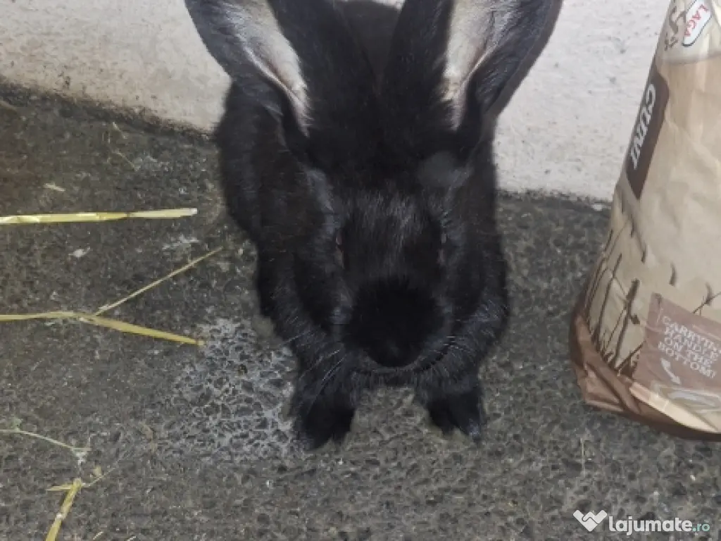 Purificator de aer Philips AC 2729 