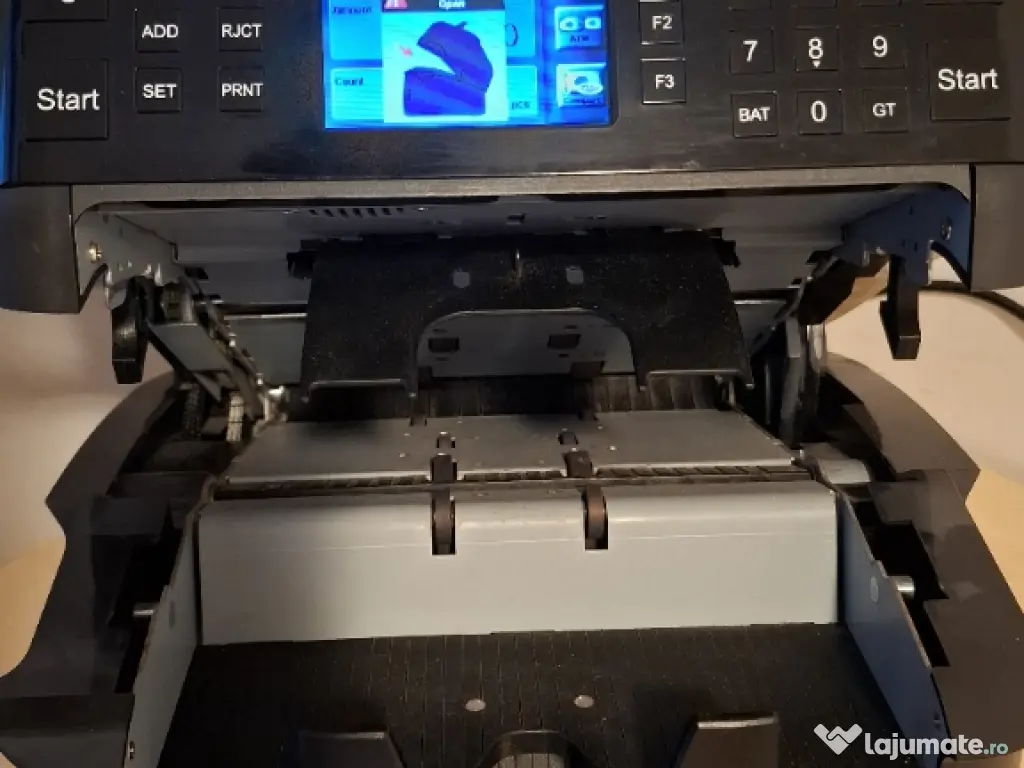 Bichon maltez alb 8 saptamani