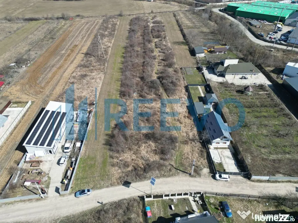 Loturi teren intravilan, Mărgineni