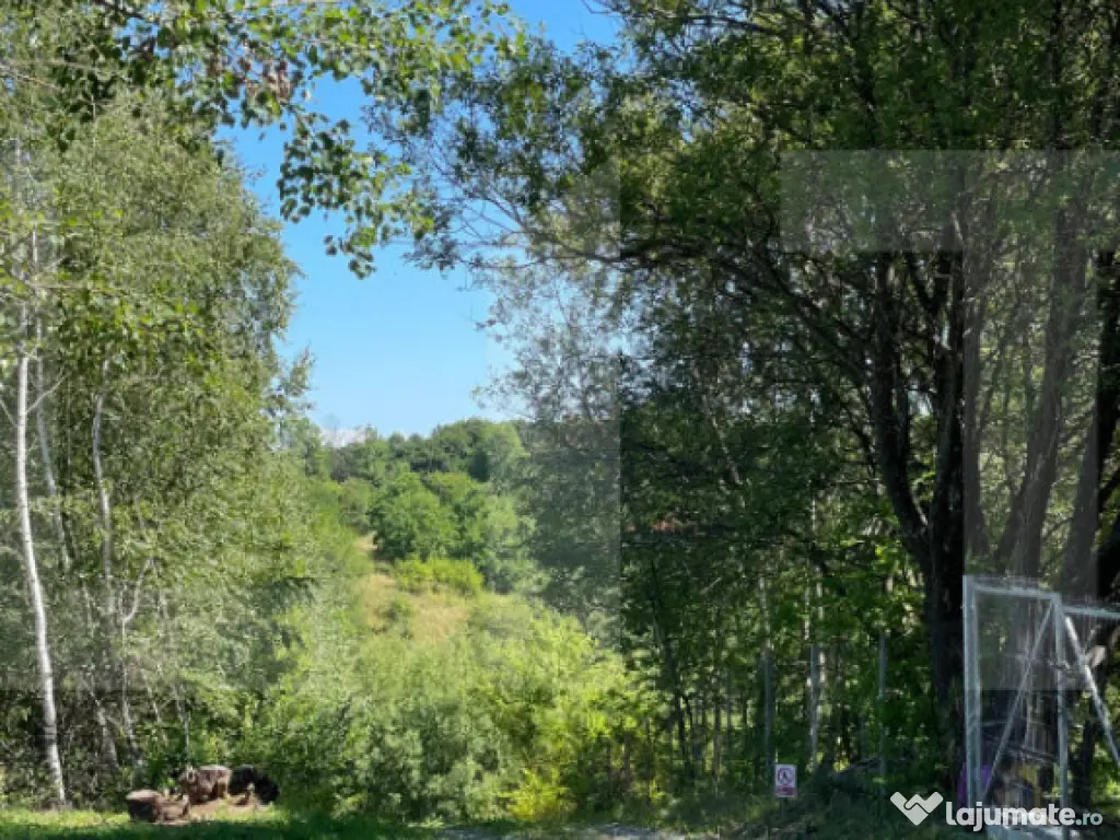 Teren de vanzare in zona Casele Micesti 