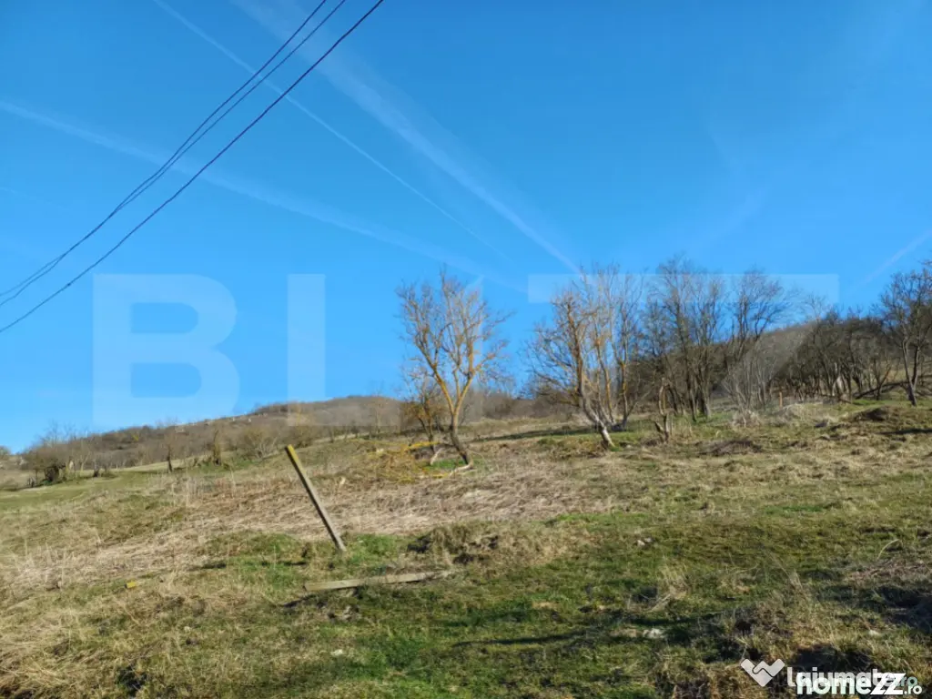 Teren intravilan de 1000mp – Ocnișoara, Lopadea Nouă 