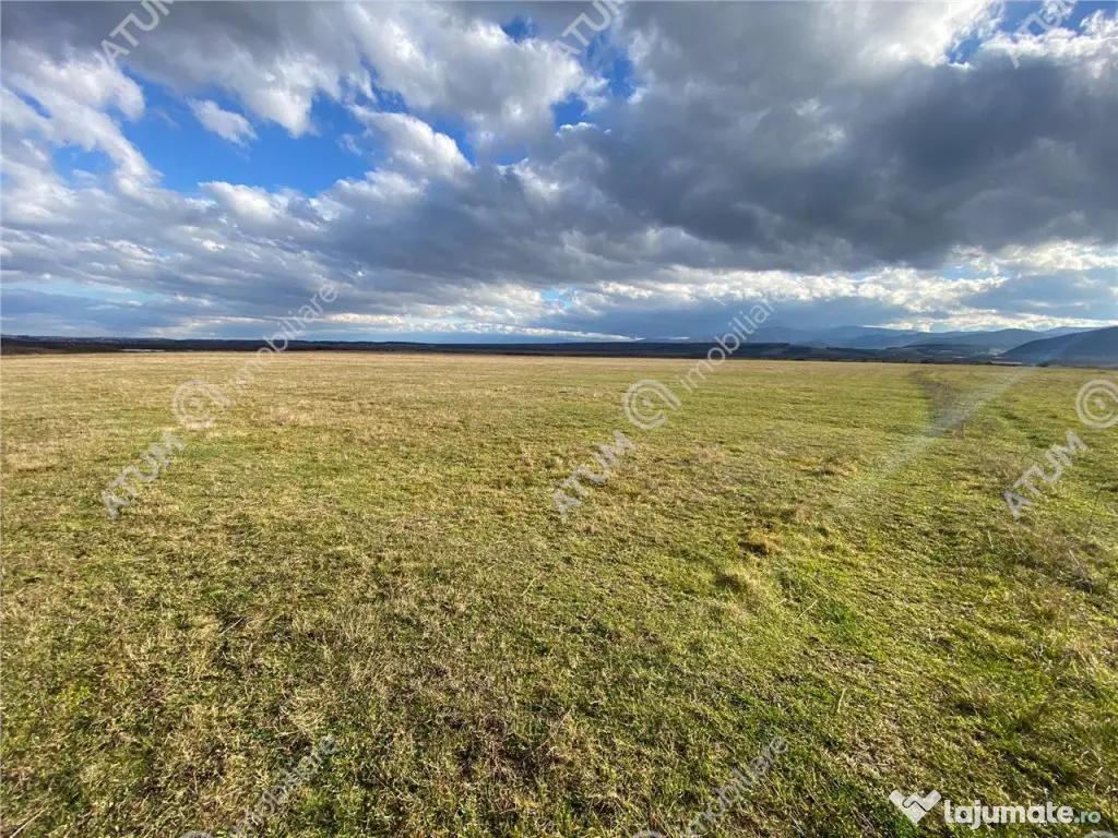 Teren de 620 mp in Sibiu pretabil investitie 