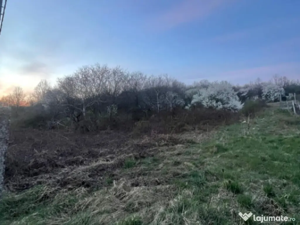 Teren intravilan Dura 22arii 