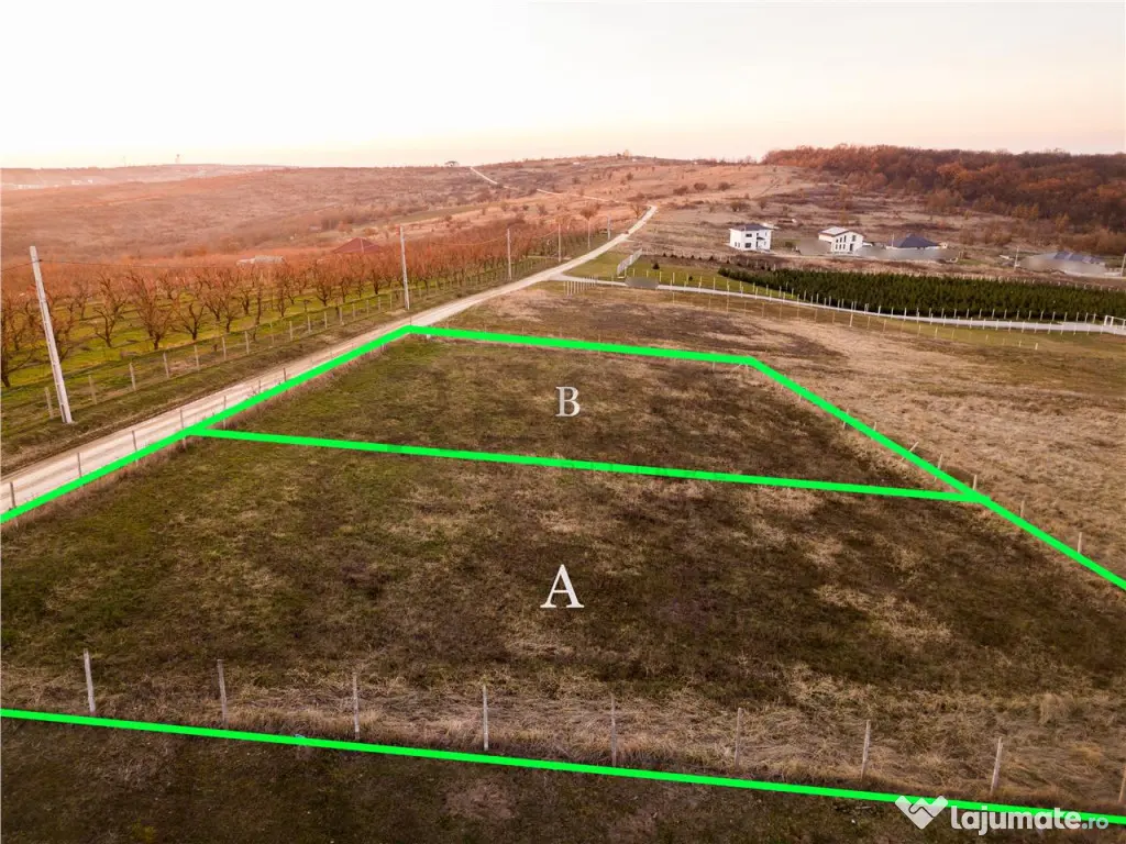 RECO Teren intravilan in Saldabagiu de Munte 
