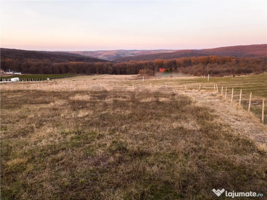 RECO Teren intravilan in Saldabagiu de Munte 