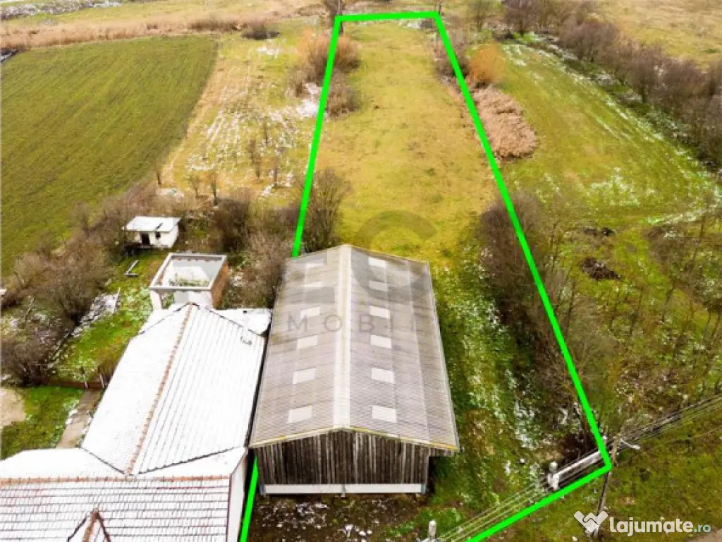 RECO . Teren intravilan cu hala metalica in Roit . 