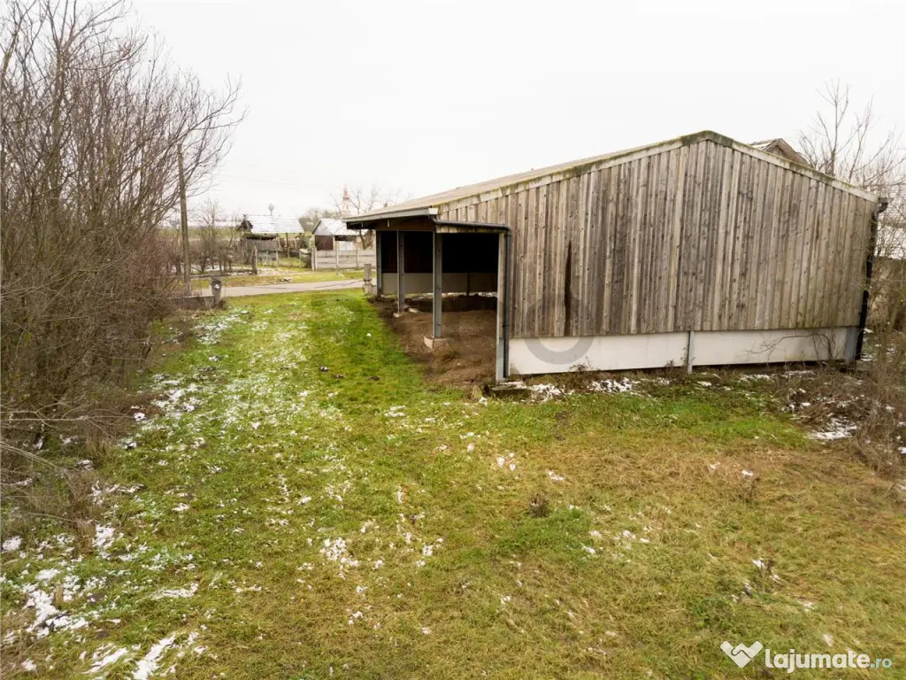 RECO . Teren intravilan cu hala metalica in Roit . 