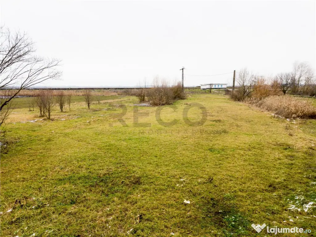 RECO . Teren intravilan cu hala metalica in Roit . 