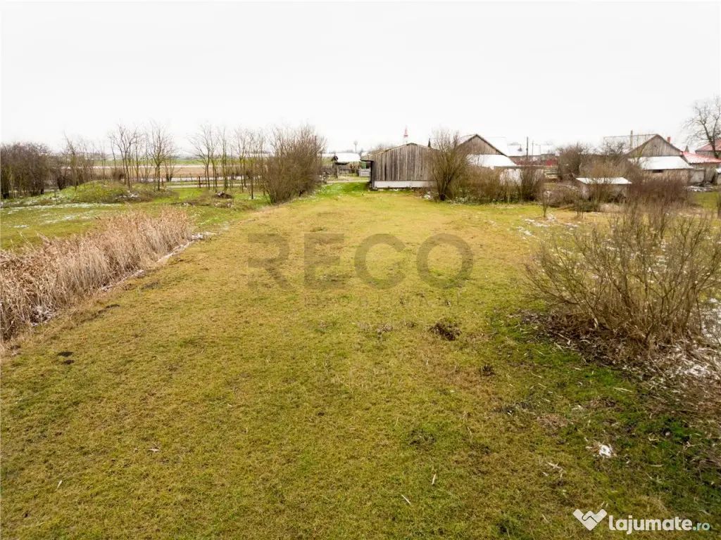 RECO . Teren intravilan cu hala metalica in Roit . 