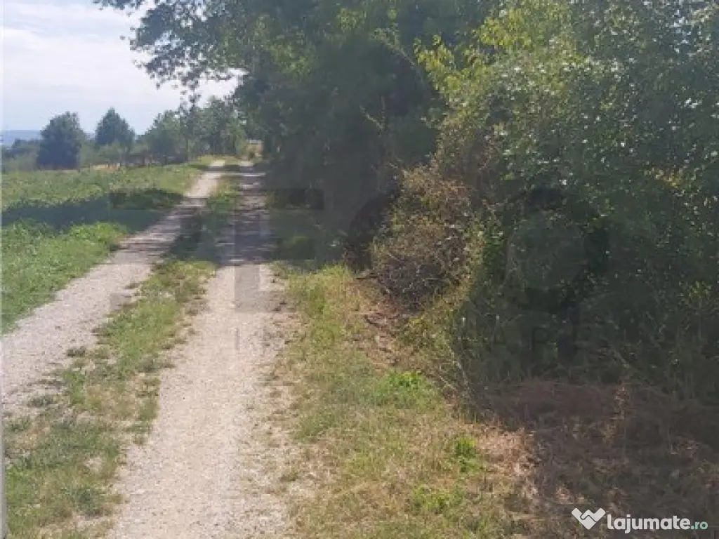 RECO, teren intravilan, Zona Sinteu, Bihor 