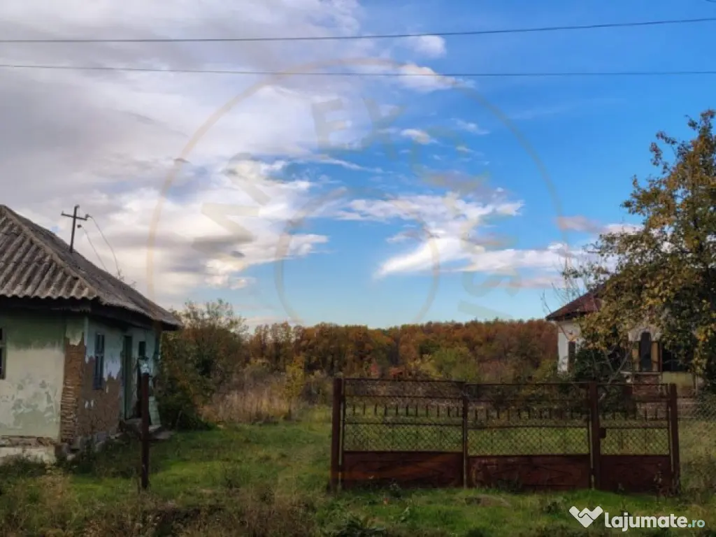 Teren Mosaia 6975 mp intravilan 