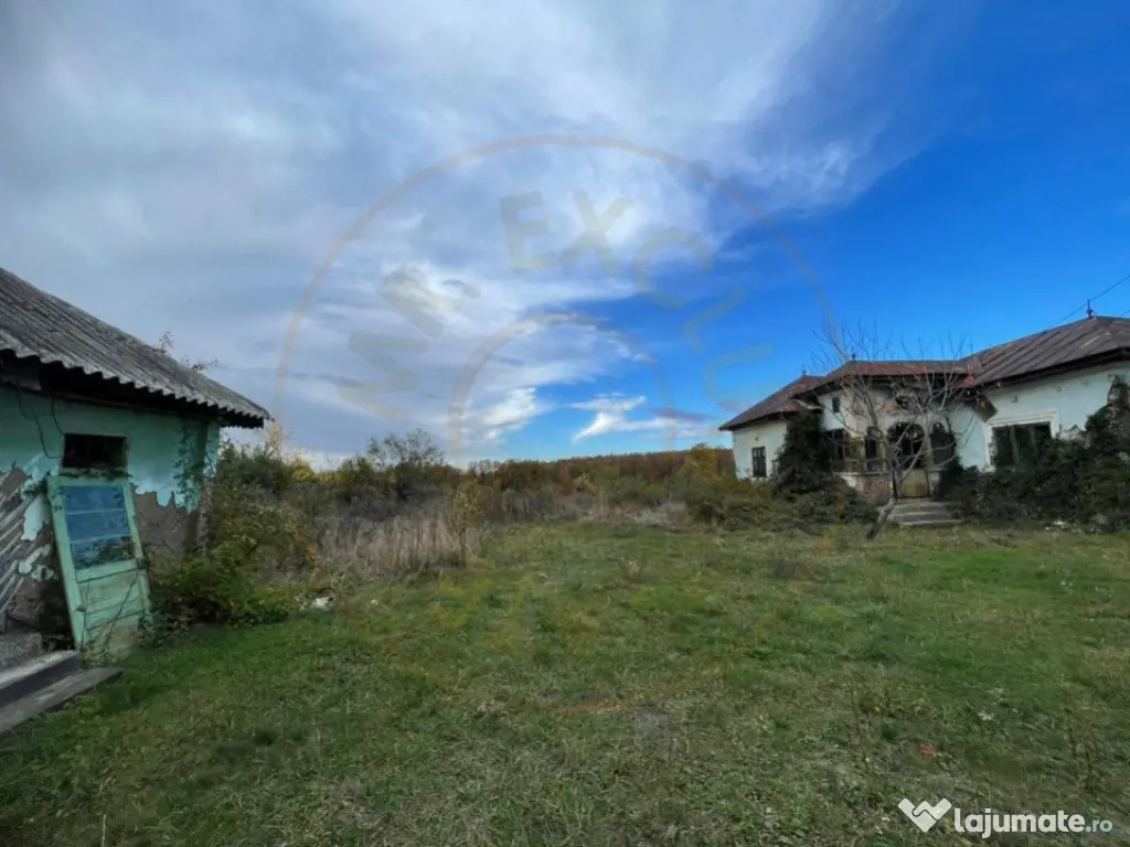 Teren Mosaia 6975 mp intravilan 