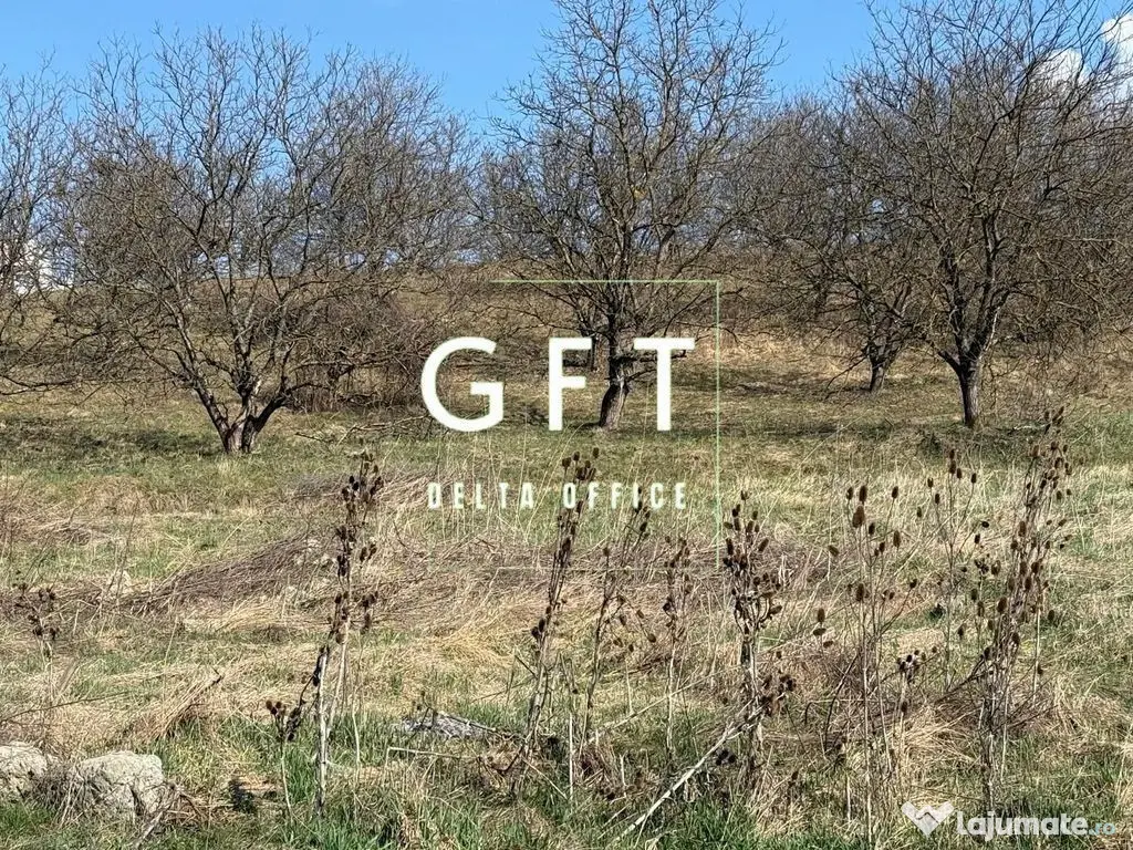 Teren Intravilan 6 ari Drumul Sigmirului - Cu Proiect de ... 