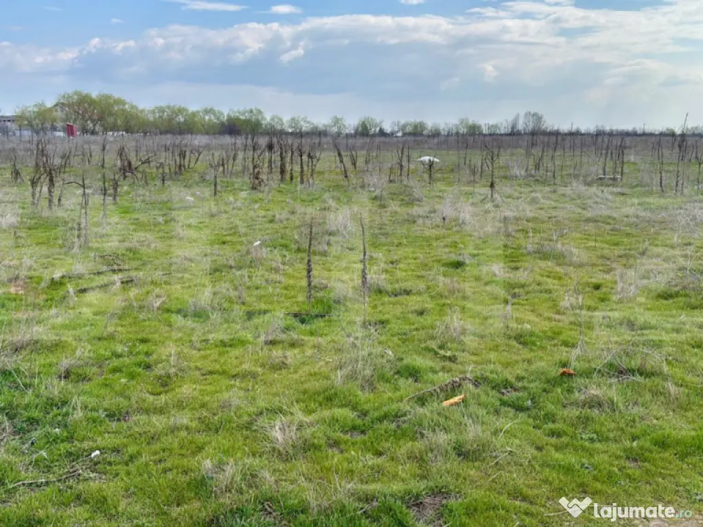 Teren extravilan 1323 mp cu acces dublu, ideal investiție, 