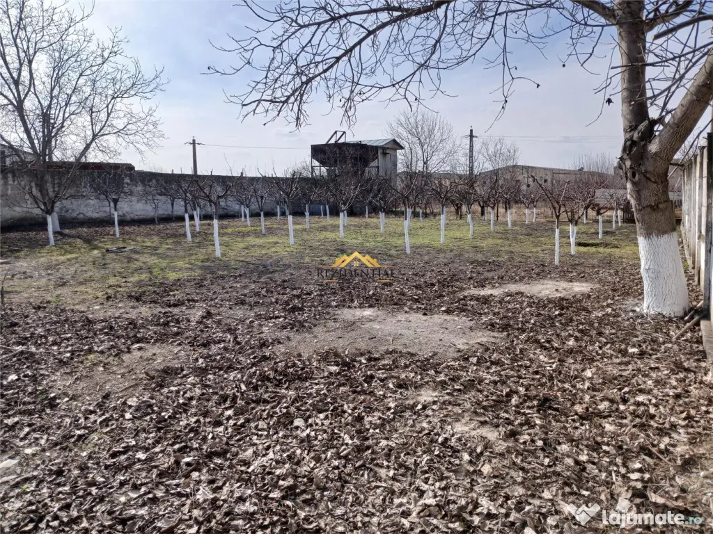 HALA 470 MP 2600 MP TEREN - CATAMARASTI 