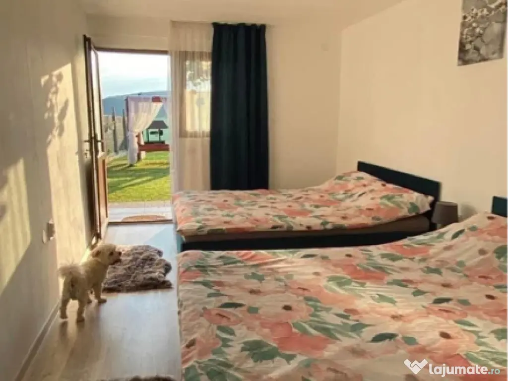 Cabană cu piscina și jacuzzi , 17 locuri de cazare . 