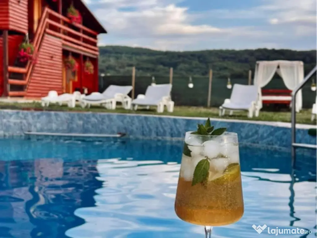 Cabană cu piscina și jacuzzi , 17 locuri de cazare . 