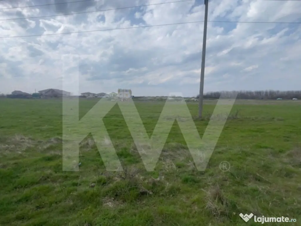 TEREN INTRAVILAN 1000 MP CARCEA - ZONA HANUL CU PONEI 