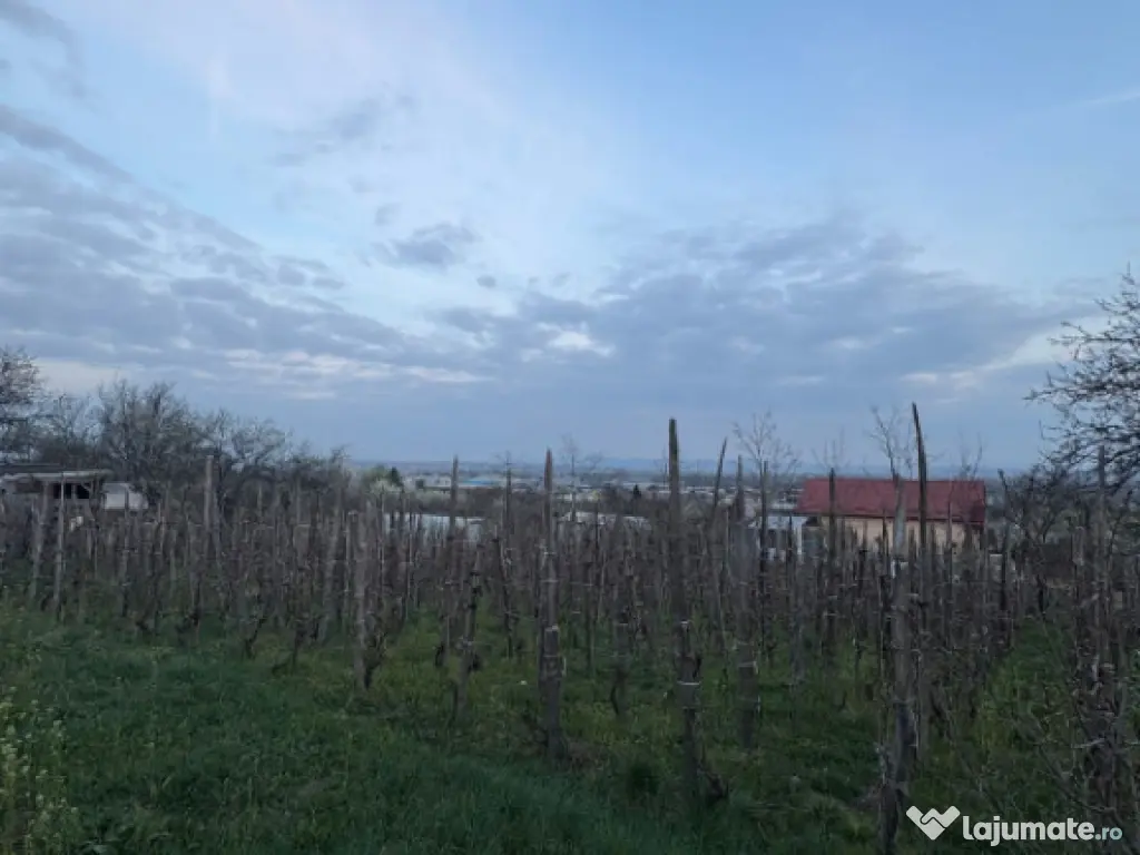 Teren 600 mp cu autorizație de construcție | panoramă sup 