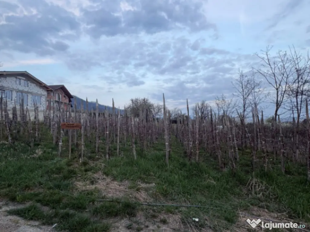 Teren 600 mp cu autorizație de construcție | panoramă sup 