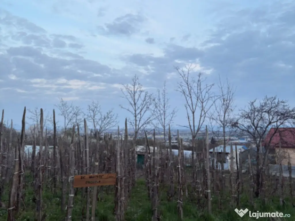 Teren de vanzare, 600 mp, zona Independentei