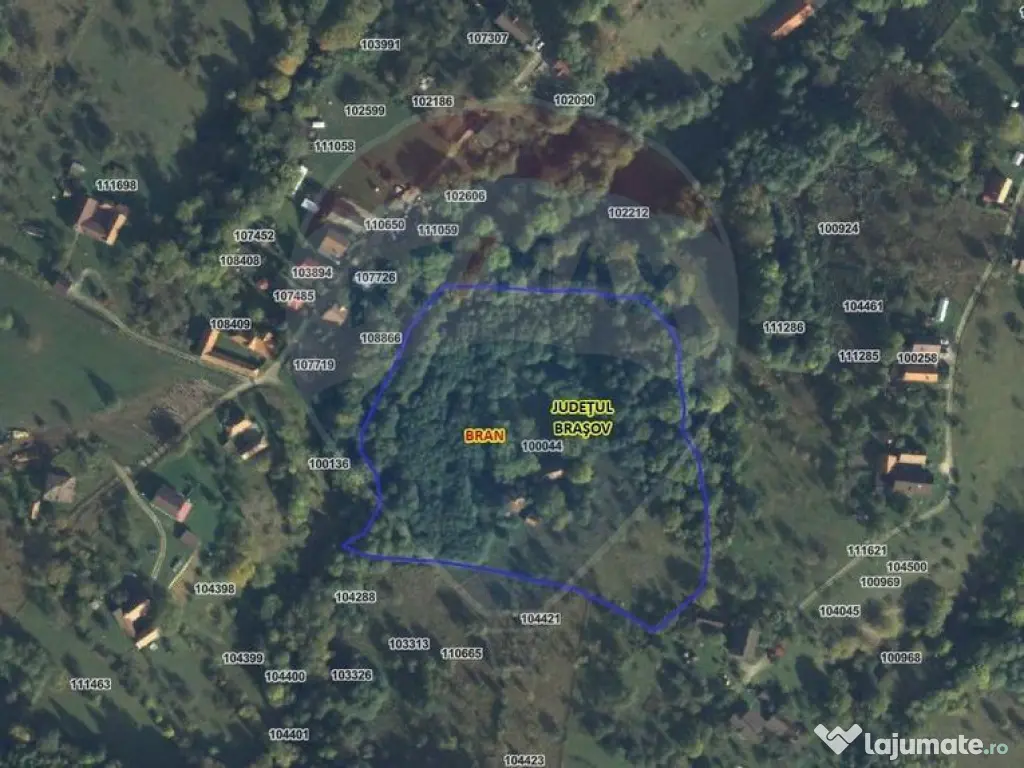 16 E+TVA/mp: Teren Bran Predelut 24253 mp intravilan proi... 