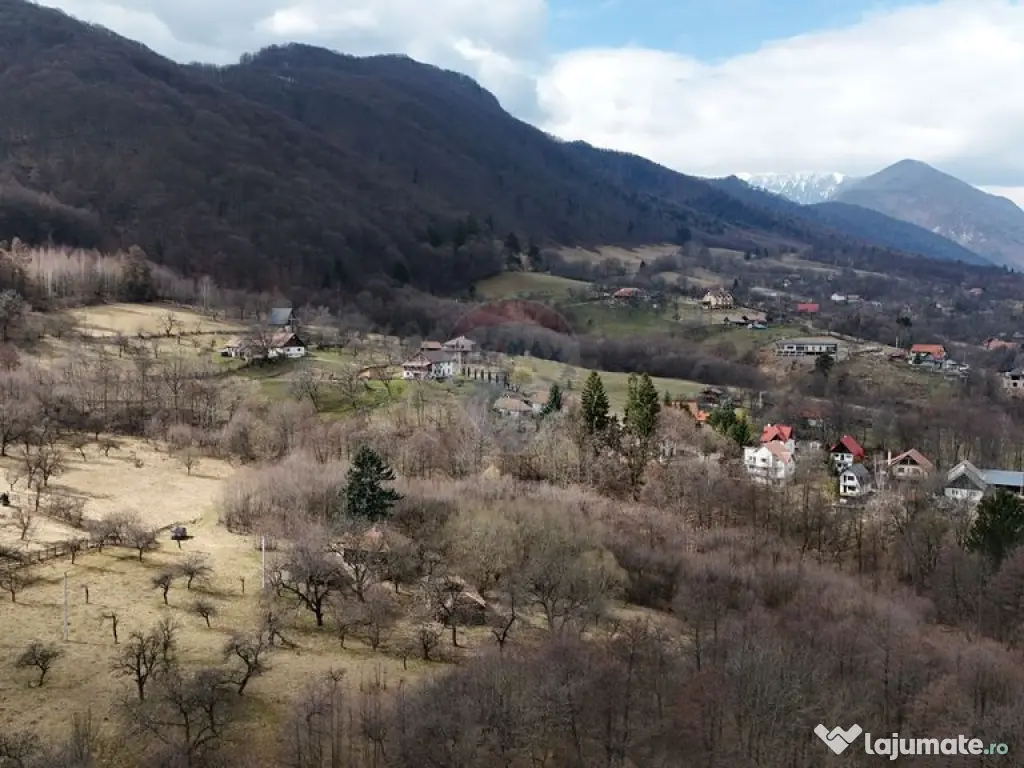 16 E+TVA/mp: Teren Bran Predelut 24253 mp intravilan proi... 