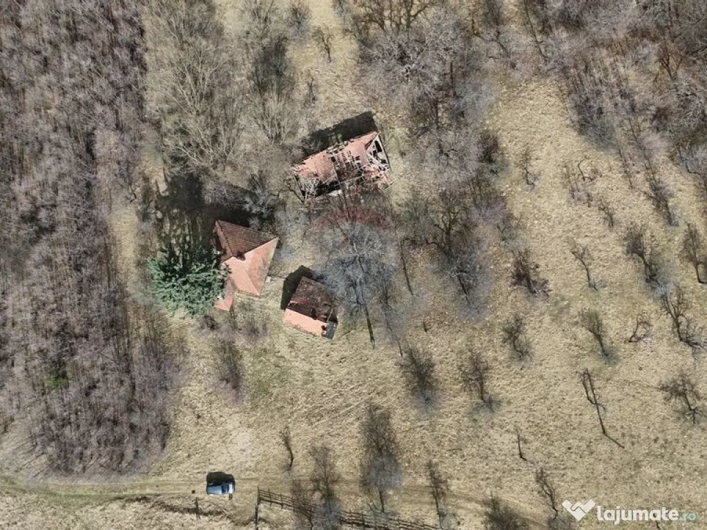 16 E+TVA/mp: Teren Bran Predelut 24253 mp intravilan proi... 