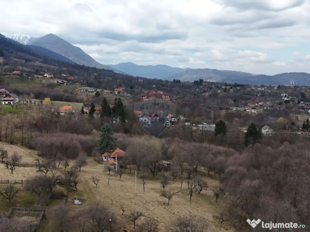 16 E+TVA/mp: Teren Bran Predelut 24253 mp intravilan proi... 