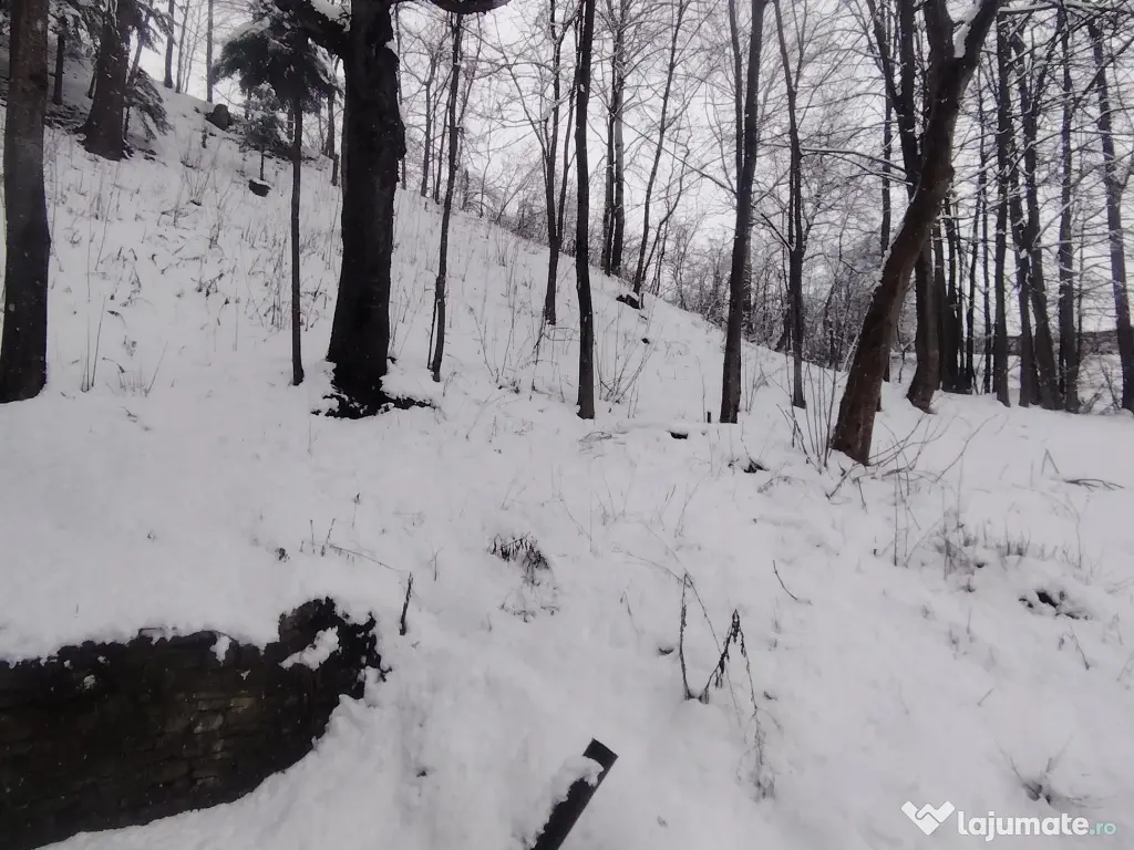 Casa boierească Urseiu 