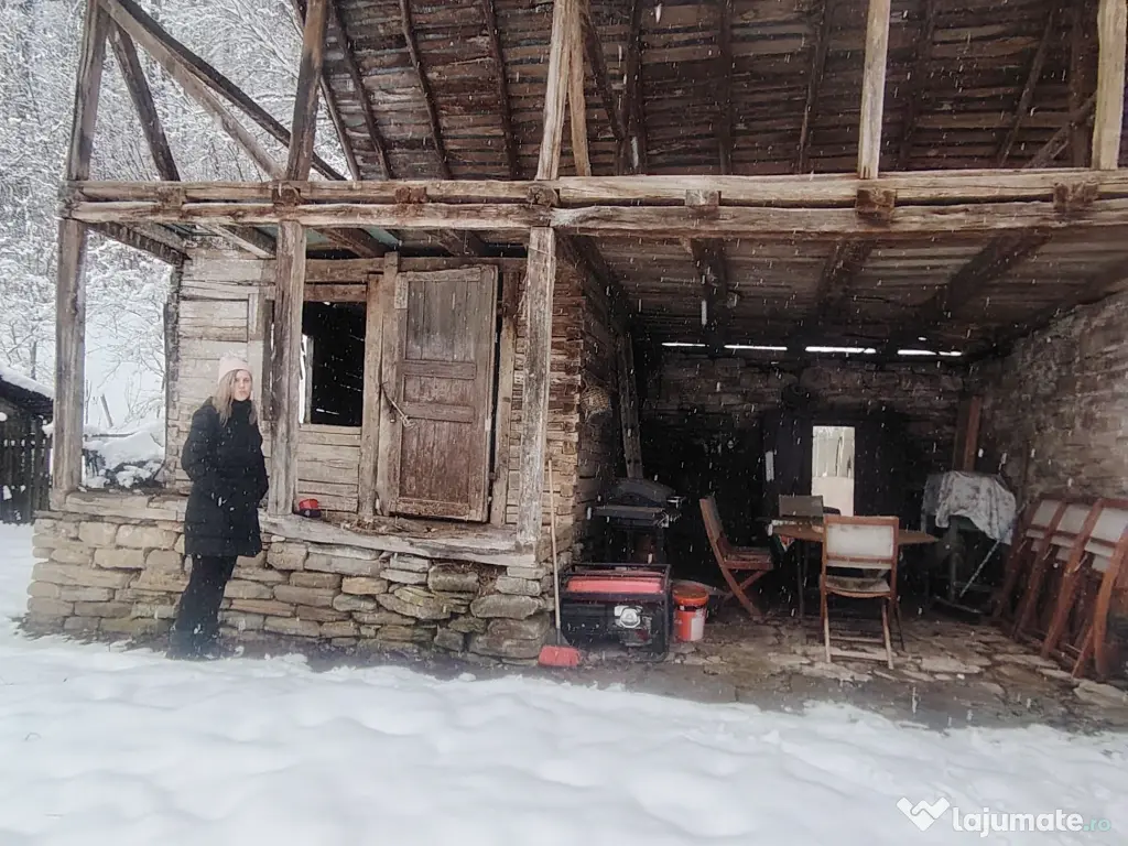 Casa boierească Urseiu 