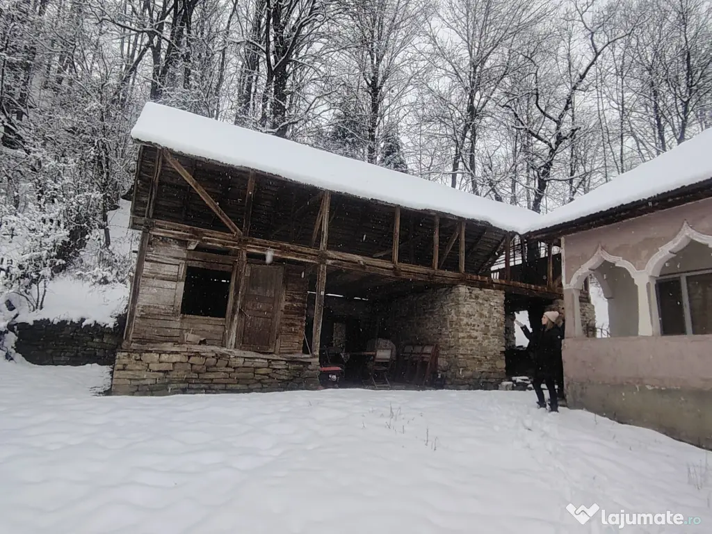 Casa boierească Urseiu 