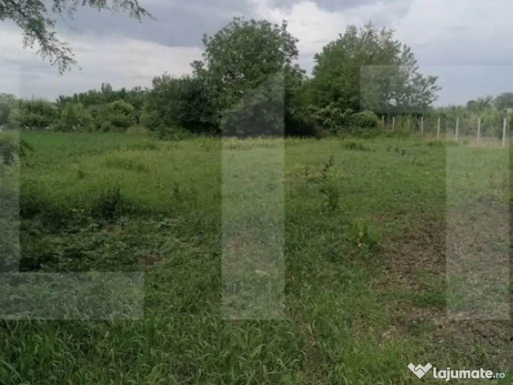 Casă bătrânească de vânzare – Brăești, județul Bot