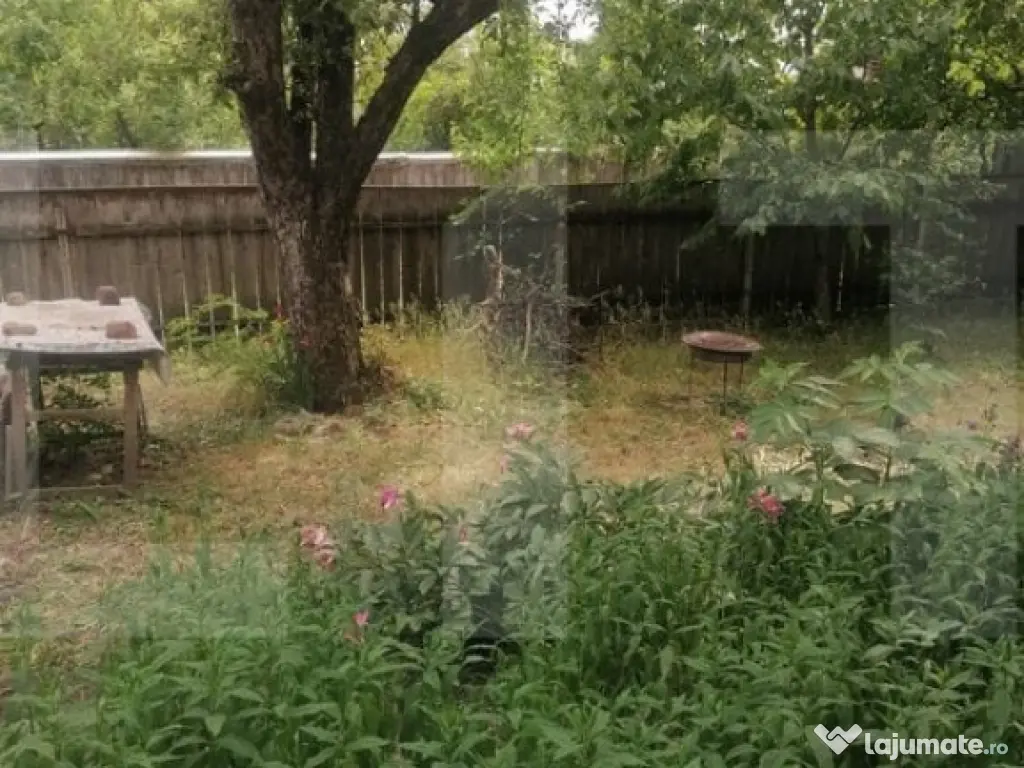 Casă bătrânească de vânzare – Brăești, județul Bot