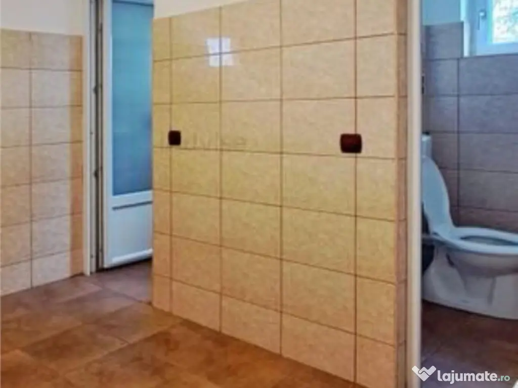 Super! Restaurant- Cladire Afacere 