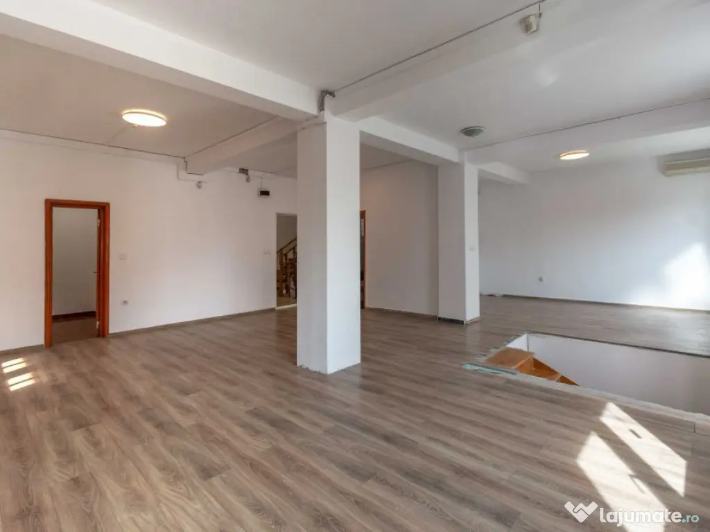 Aviatiei | Smaranda Braescu | Vila reprezentativa de inch... 