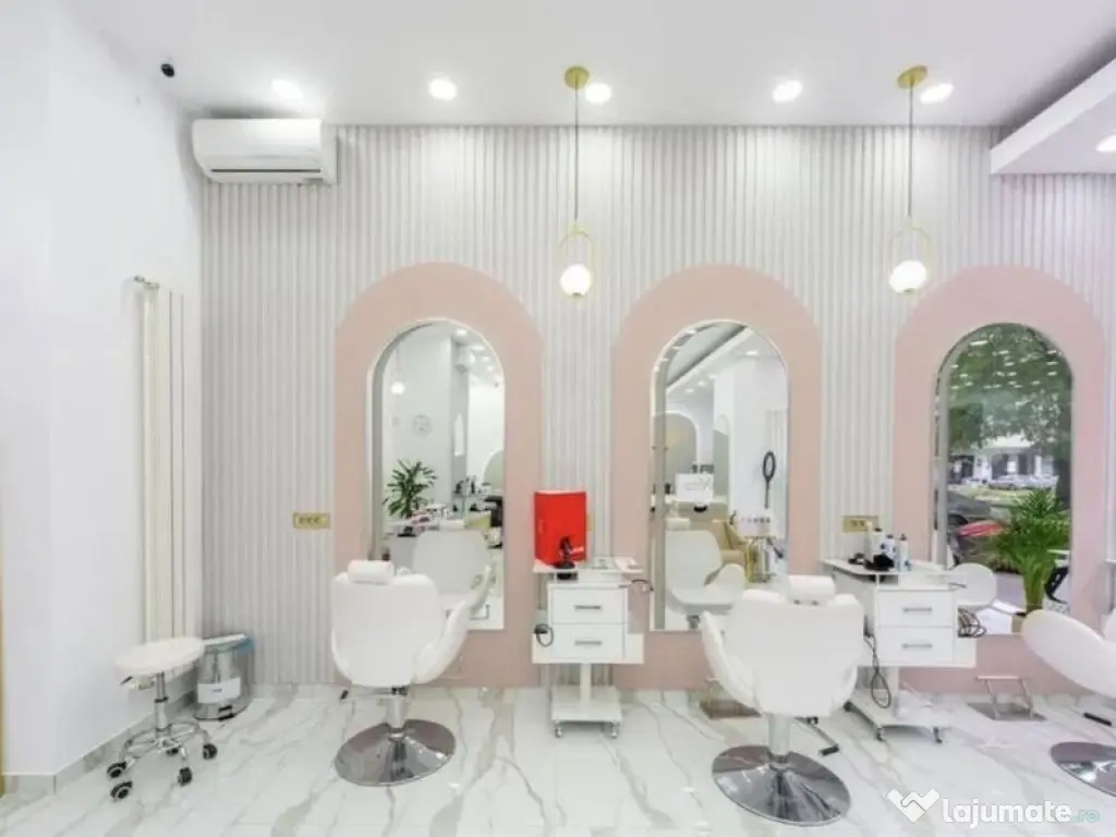 Zona P-ta Victoriei sp 117 mp trafic intens 