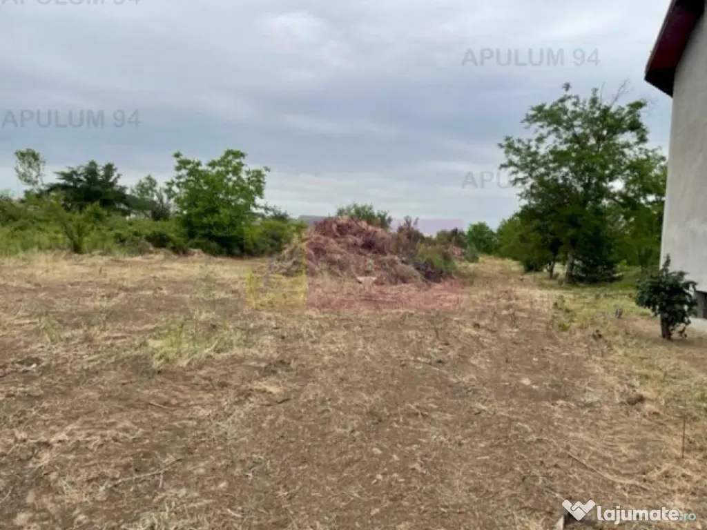 Teren Domnesti- Mega Image. 