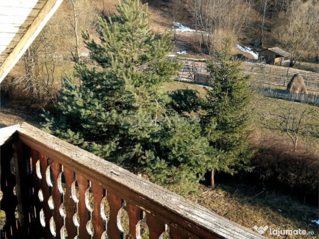 Vila 14 camere- Valea Doftanei 